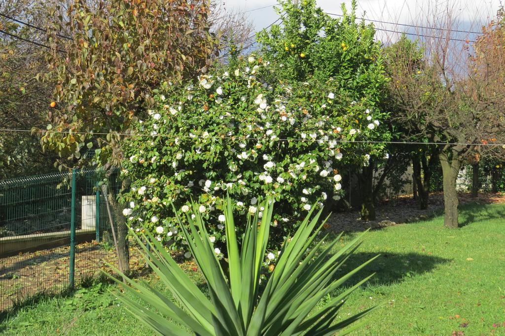 Sweet Home Braga Hostel & Guest House Esterno foto